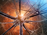 Synapses as therapeutic targets for Autism Spectrum Disorders